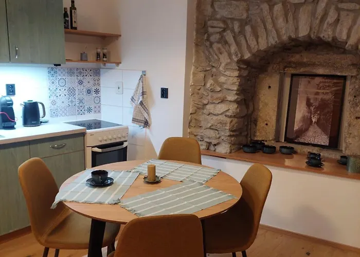 Vocell קונטה הורה