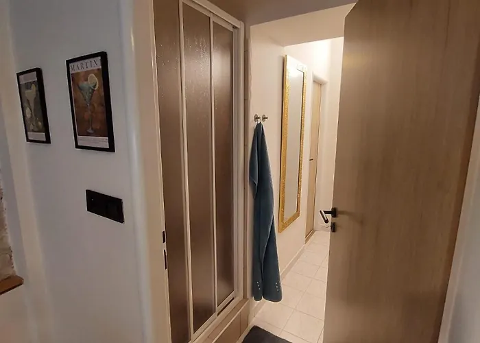 Vocell * קונטה הורה